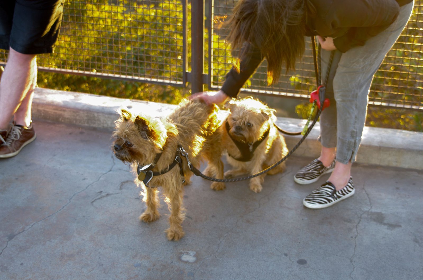 Griffith Observatory  068